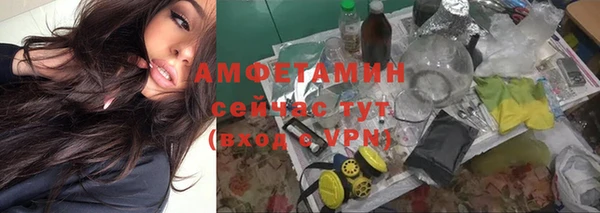 бошки Бронницы