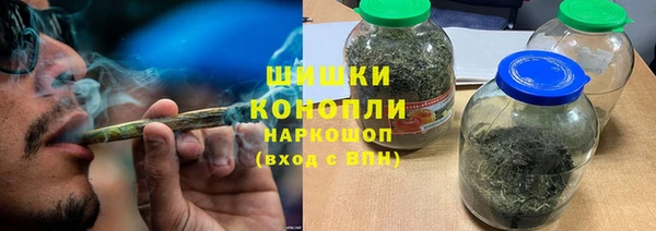 бошки Бронницы